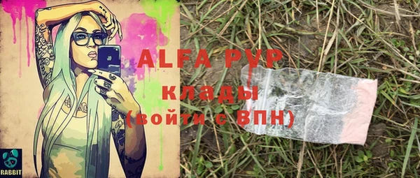 ГАЛЛЮЦИНОГЕННЫЕ ГРИБЫ Арсеньев