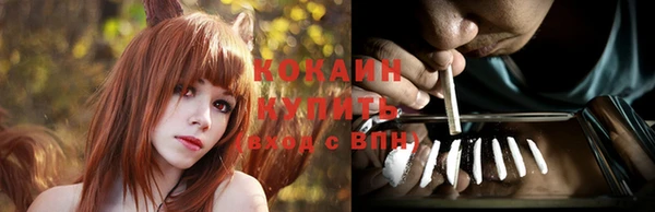 ГАЛЛЮЦИНОГЕННЫЕ ГРИБЫ Арсеньев