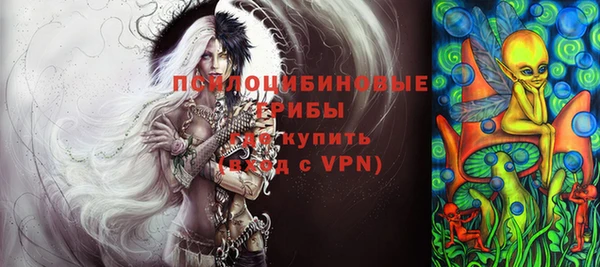 ГАЛЛЮЦИНОГЕННЫЕ ГРИБЫ Арсеньев