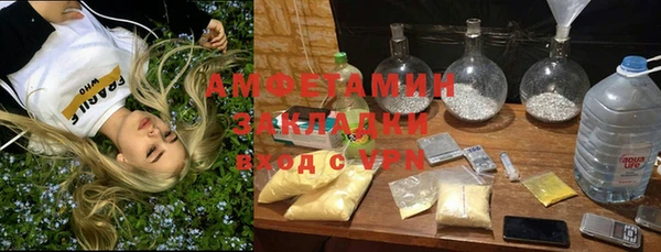 ГАЛЛЮЦИНОГЕННЫЕ ГРИБЫ Арсеньев