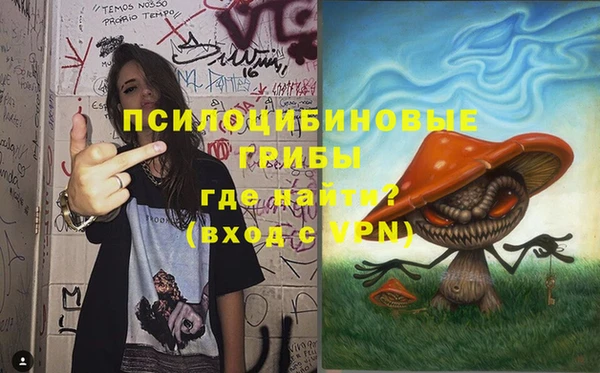 ГАЛЛЮЦИНОГЕННЫЕ ГРИБЫ Арсеньев