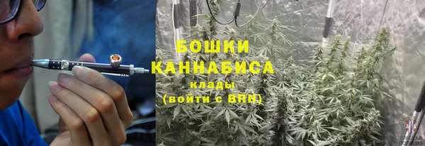 ГАЛЛЮЦИНОГЕННЫЕ ГРИБЫ Арсеньев
